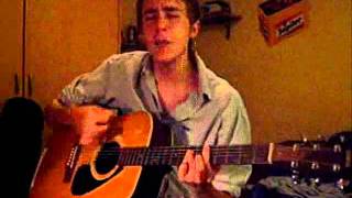 French Dog Blues acoustic (cover) - Babyshambles