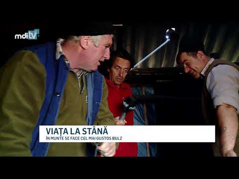 VIATA LA STANA   YOUTUBE