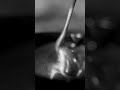 Lukum Гель для ногтей Metal Gel, 5 мл