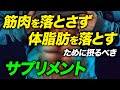 【サプリ活用法】筋肉を落とさずに体脂肪を落とすために摂った方がいいサプリ【ビーレジェンド プロテイン】