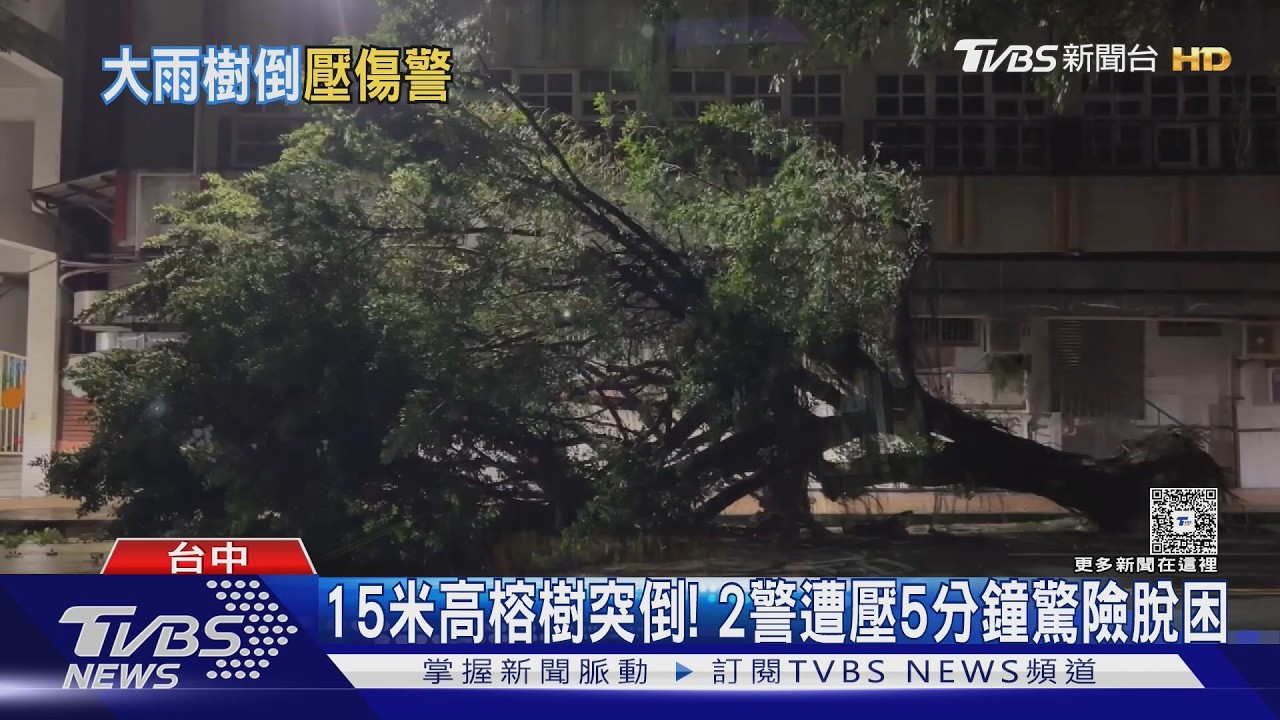 大雨後路樹突倒塌!台中2警清樹枝遭壓 「來不及反應」驚險畫面曝