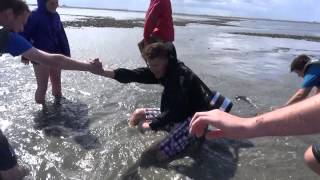 preview picture of video 'Zomerkamp 2014. Wadlopen Pieterburen'