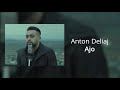 Ajo Anton Delija