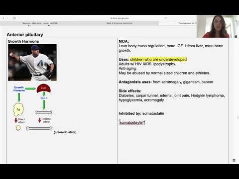 Pituitary Hormone Pharmacology for Naturopaths