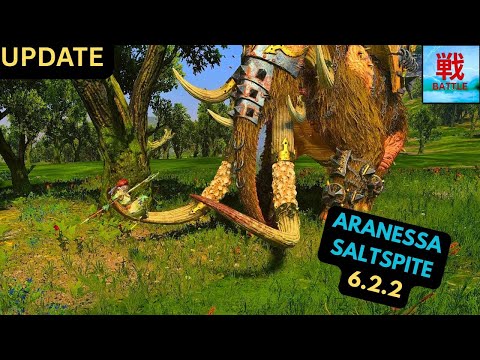 Are CHANGES to Aranessa Saltspite Any Good in Patch 6.2.2? - Vampire Coast Lord Focus Update