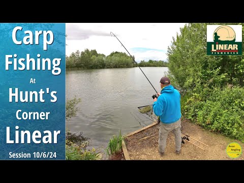 Big Carp & Tench Fishing At Hunt's Corner - Linear Fisheries - A PB? - 10 & 11/6/24 (Video 500)