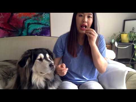 Milkbone Taste Test!