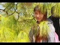Best Birthday Song Chelsie Castro