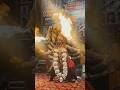 Mahakal Maharaj Ki Jai महाकाल महाराज की जय Shiv Mahakal Mahadev Bhol