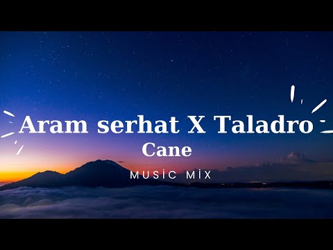 Aram Serhat X Taladro Cane (Tiktok remix)