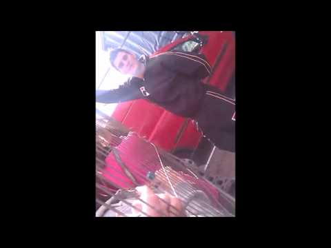 Matt Lapinskas saying I love you Jess