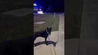 Massive Productivity and Peace using GTD Method and Morning Workouts (How To)