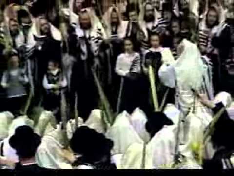 Bobover Rebbe on Hoshana Rabba