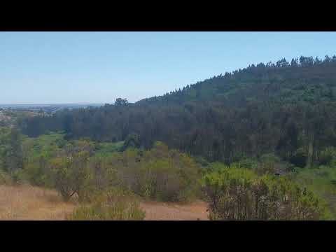 Oportunidad en Santo Domingo – Región de Valparaíso