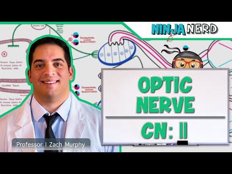 Neurology | Optic Nerve | Cranial Nerve II: Visual Pathway and Lesions