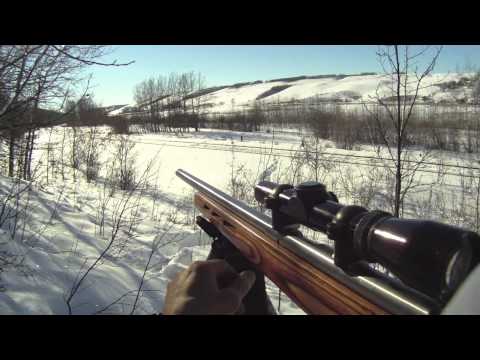 Savage 93r17 review and first shots
