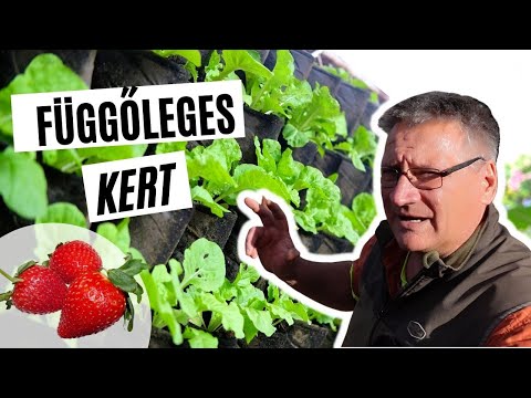 Függőleges kert - növényfalak - zöldfal - termessz kis helyen!  I  Kreatív Farmer