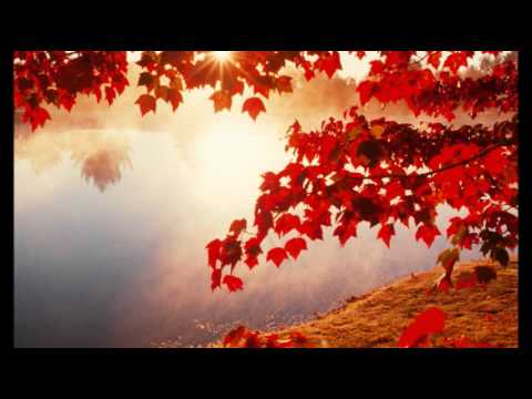 101 STRINGS ORCHESTRA - AUTUMN LEAVES