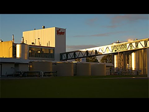 Coopers Brewery's digital journey to optimize laboratory operations