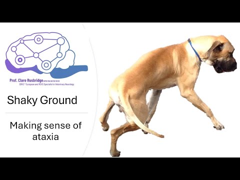 Ataxia making sense