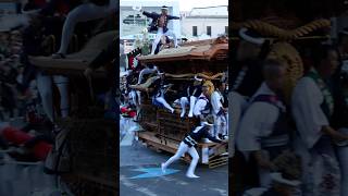 大阪の「岸和田だんじり祭」始まる　「ソーリャ」の掛け声が街に響く　#だんじり #岸和田 #岸和田だんじり祭 #祭り