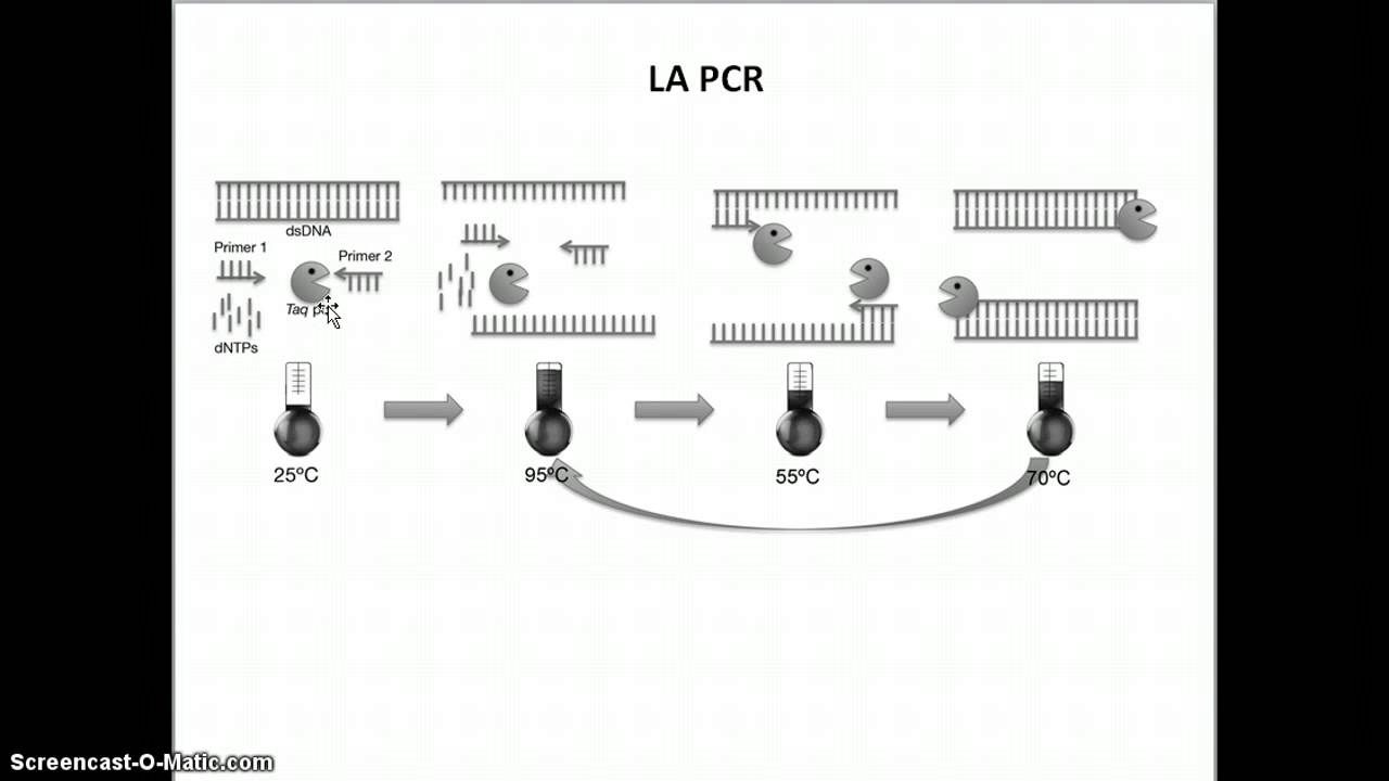 Tecniche di DNA Ricombinante