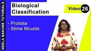 Biological Classification | NEET | Protista - Slime Moulds | Neela Bakore Tutorials