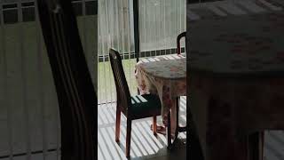 8 Dalona Parkway, Lakelands