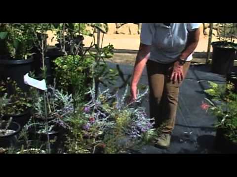 download lagu mp3 mp4 Jo Connell, download lagu Jo Connell gratis, unduh video klip Jo Connell