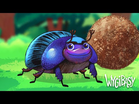 ŻUCZEK – WYGIBASY TV - piosenki dla dzieci