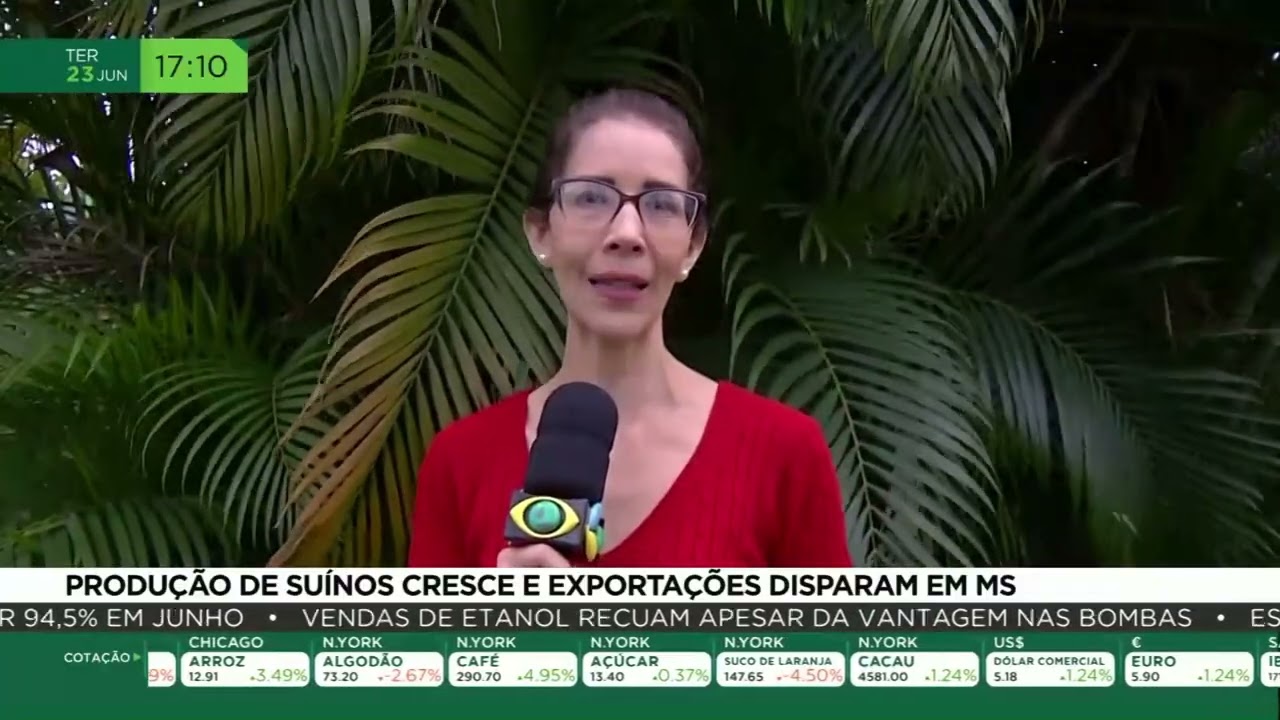 Produção de suínos cresce e exportações disparam em MS