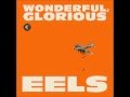 Eels - You're my friend