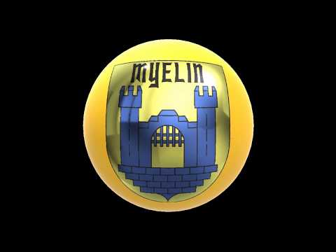 MYELIN PRODUCTIONS - DRACO ORTUS Offical Trailer color