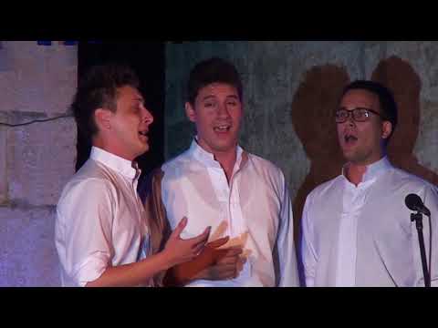 klapa Stine - Zagreb, Izajdi na prozor; Večer izvornih napjeva 2017.