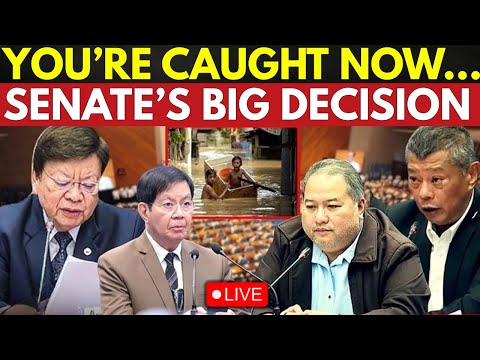 Philippines Senate Live: Mastermind Unmasked As Unexpected Twist Blows Up Hearing | Live News