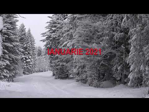 Pârtia Bradul - Toplița