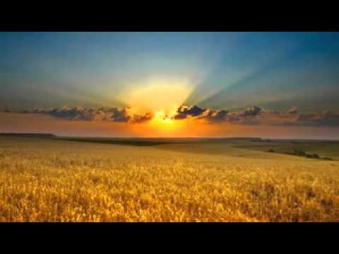 Seven24 & Soty   Perfect Day feat R I B    Alternatif Hayat   Facebook