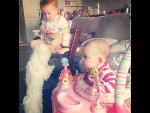 HAPPY BIRTHDAY EMILIA