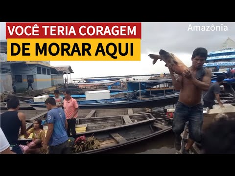 VIDA MARAVILHOSA NO INTERIOR do AMAZONAS, muita fartura de peixe 