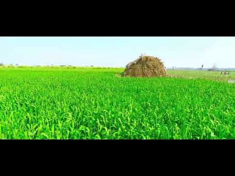 Pashto New song film Khandani Jawargar Song