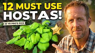 12 Hostas I will ALWAYS Use After 25 Years of Landscaping