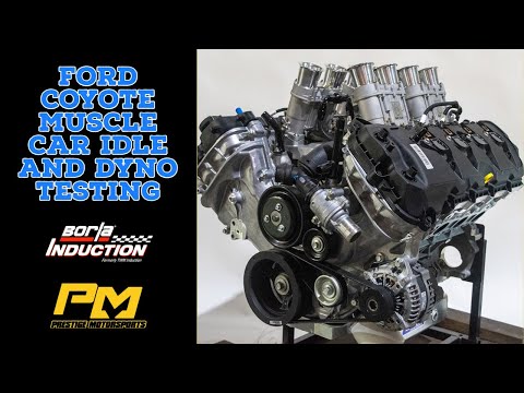 Stack Injected Ford Coyote Muscle Car Idle and Dyno Testing at Prestige Motorsports