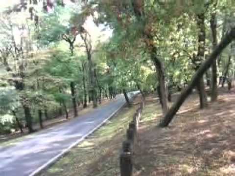 Haris Gegic...reli trka...Beograd 14.10.2012