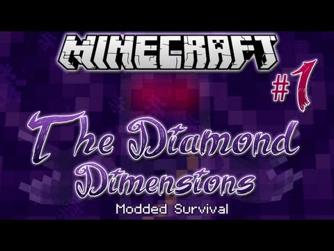 "PUNCH WOOD MAN!" | Diamond Dimensions Modded Survival #1 | Minecraft