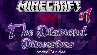 "PUNCH WOOD MAN!" | Diamond Dimensions Modded Survival #1 | Minecraft