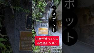 Download lagu 珍百景！？トンネルに向かって叫ぶと山彦がwww mp3
