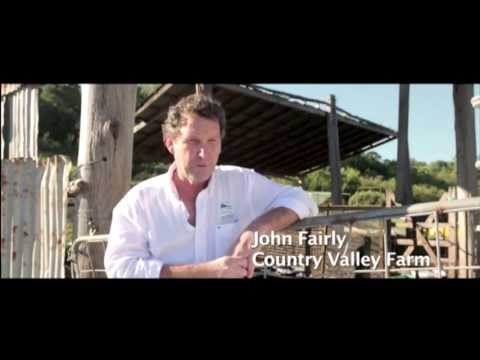 Milk at TEDxSydney 2013