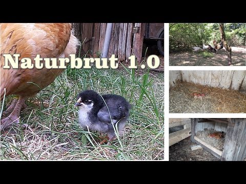 Naturbrut 1.0