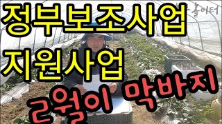 5화 정부보조사업ㆍ지원사업 2월 내에 신청하이소~~