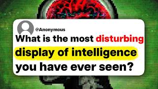 What is the most disturbing display of intelligence you have ever seen?